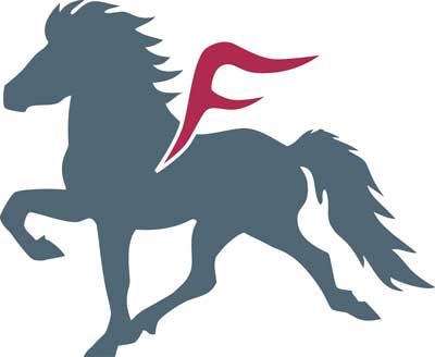 fleygur_logo